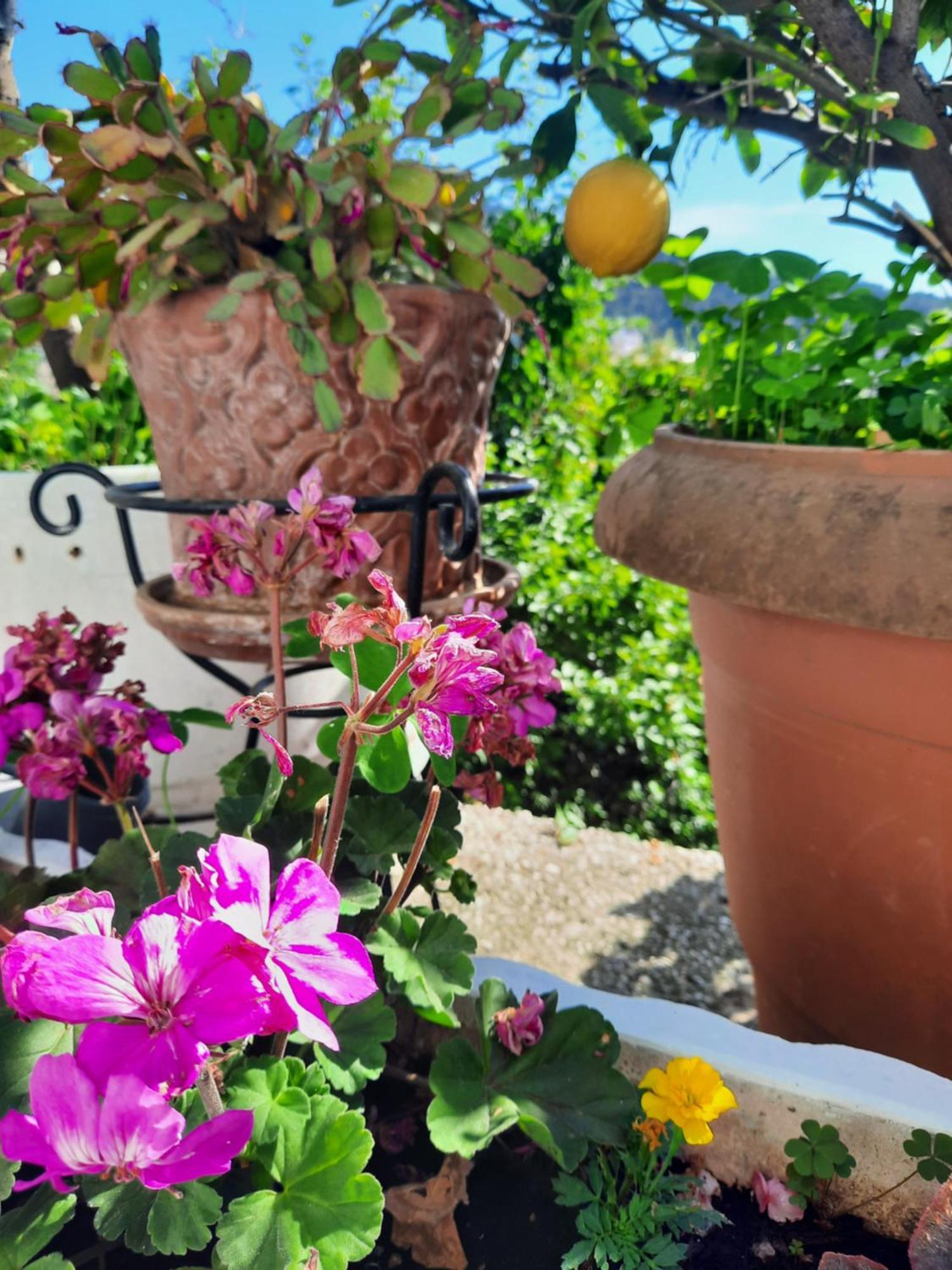 Vasilis Garden House Villa Kavala Exterior photo